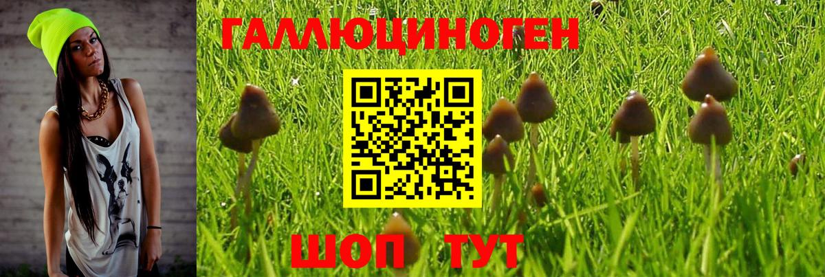 Галлюциногенные грибы MAGIC MUSHROOMS Ишимбай