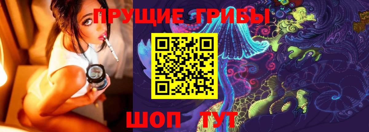 Ишимбай  Галлюциногенные грибы прущие грибы  Вход с VPN 